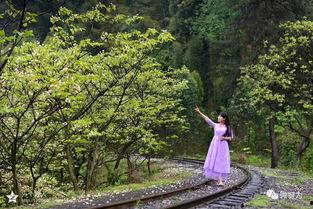 风景视频爆料大全最新,风景视频爆料大全精选集锦